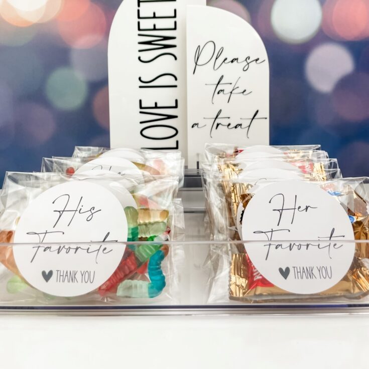 Couple’s Favorite Candy Wedding Favors – Modern DIY Bride