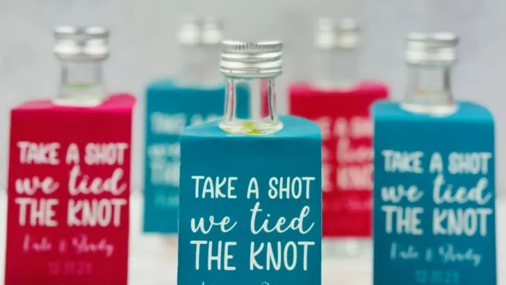 Take A Shot We Tied The Knot – Mini Alcohol Wedding Favors